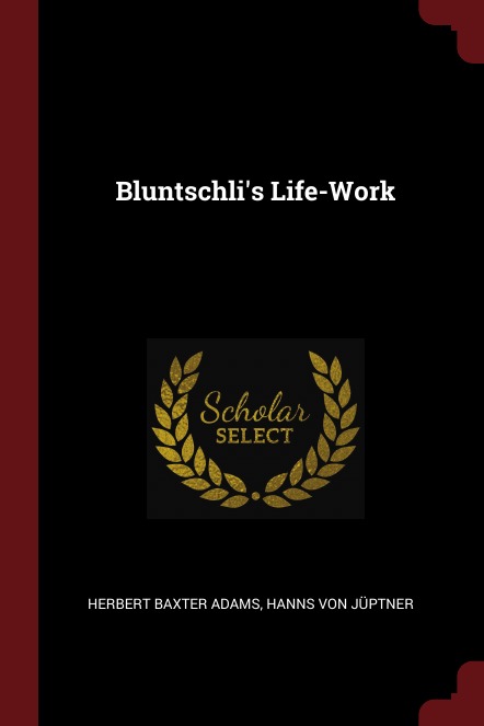 

Bluntschli'S Life-Work