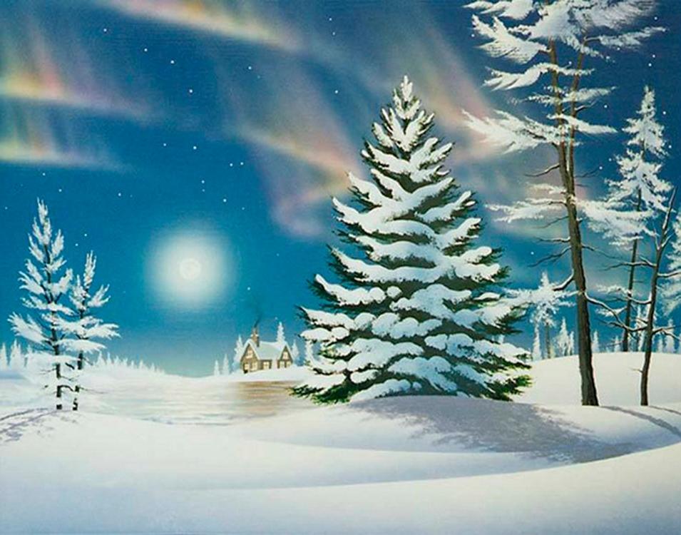 

Алмазная вышивка Алмазная Живопись Лунная тень, 50x40 см, Лунная тень