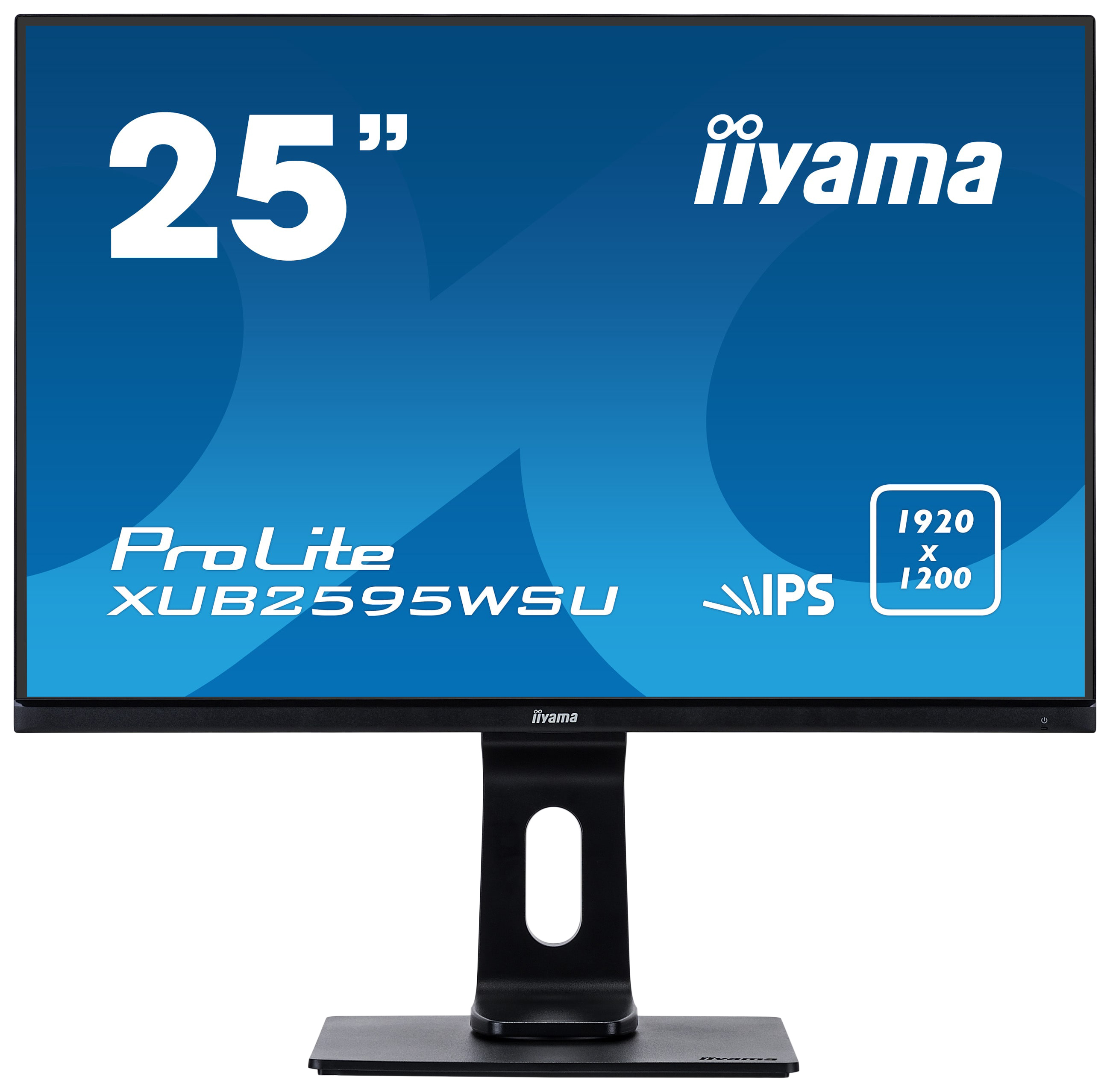 фото Монитор iiyama prolite xub2595wsu-b1 black