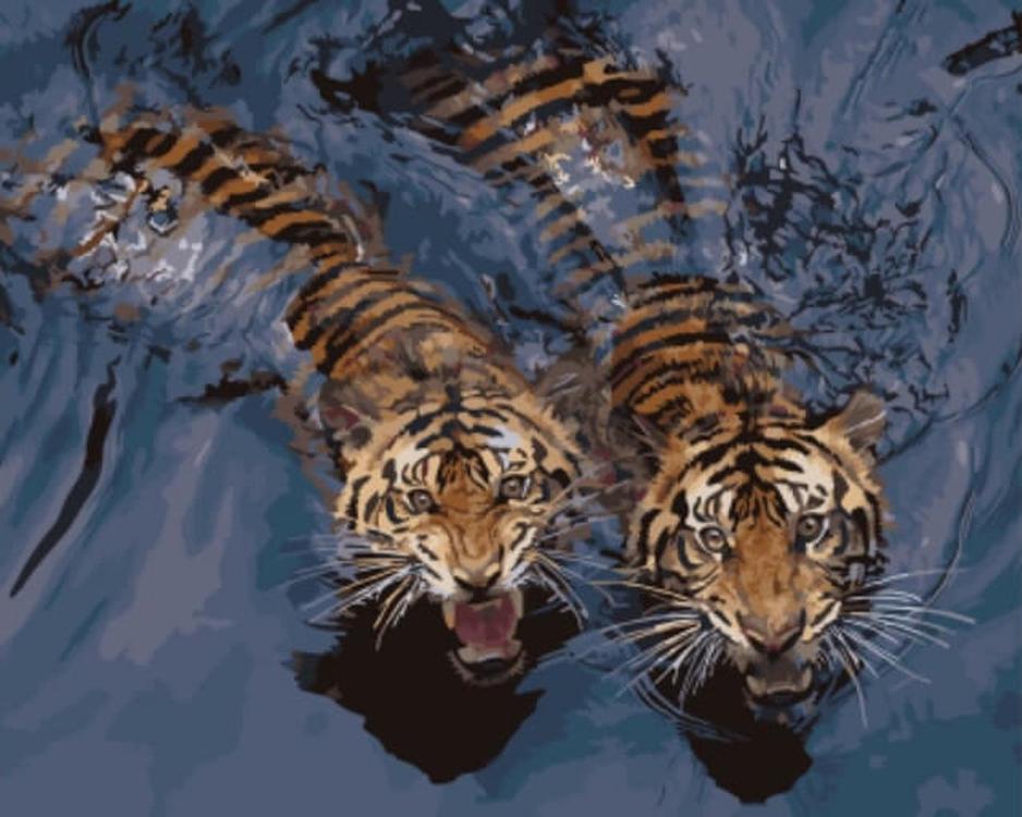 

Картина по номерам Цветной Мощные тигры в воде, 40x50 см, Мощные тигры в воде