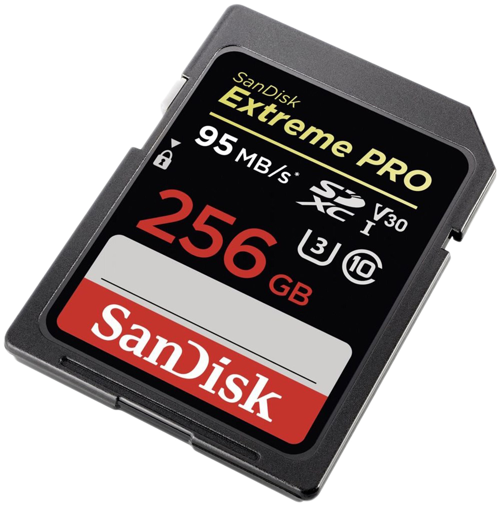 

Карта памяти SanDisk SDXC Extreme PRO SDSDXXG-256G-GN4IN 256GB, SDSDXXG-256G-GN4IN