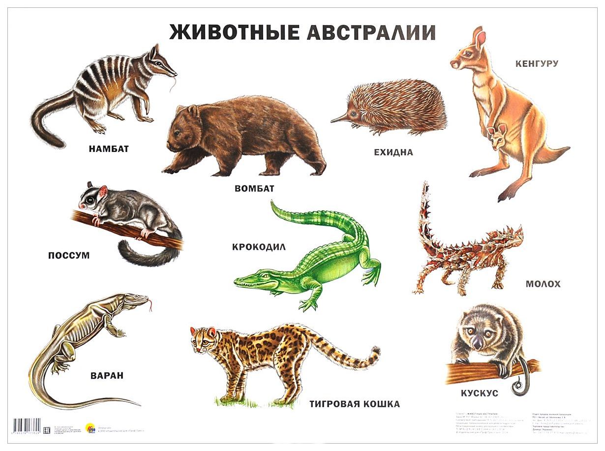 Животные Список С Фото