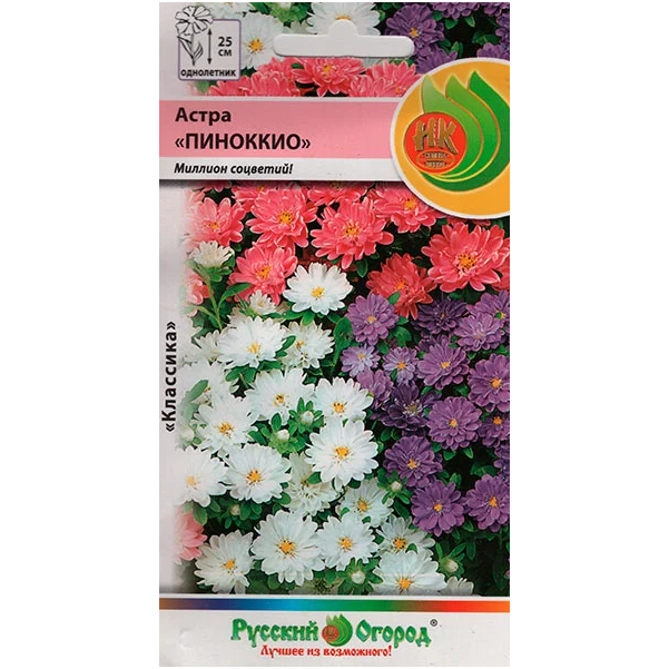 фото Семена цветов астра пиноккио смесь русский огород 113500 0,4 г 1 уп.