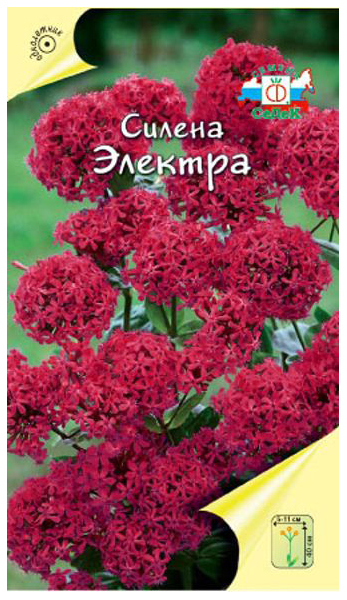 

Семена силена СеДеК Электра 57650 1 уп.