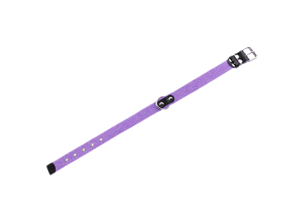 фото Ошейник для собак collar, брезентовый, фиолетовый, 31-41 см x 20 мм
