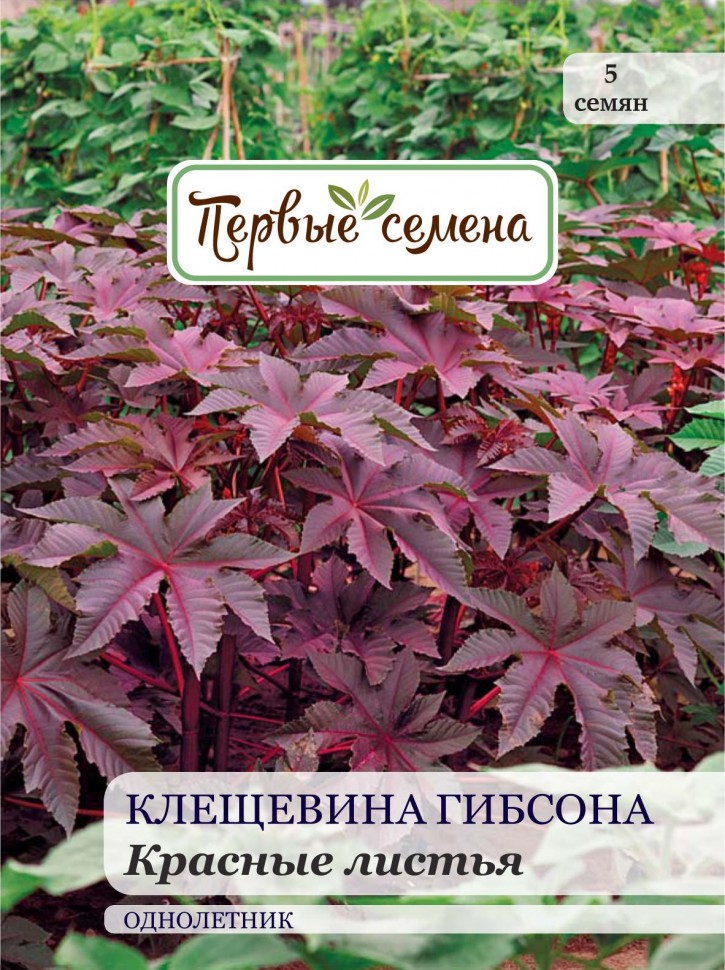 

Семена цветов Первые семена Клещевина Гибсона Красные листья, 2,5 г