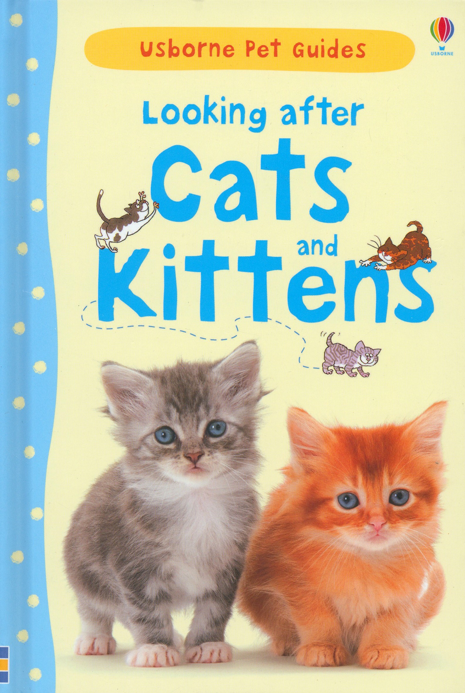 

Looking after Cats and Kittens