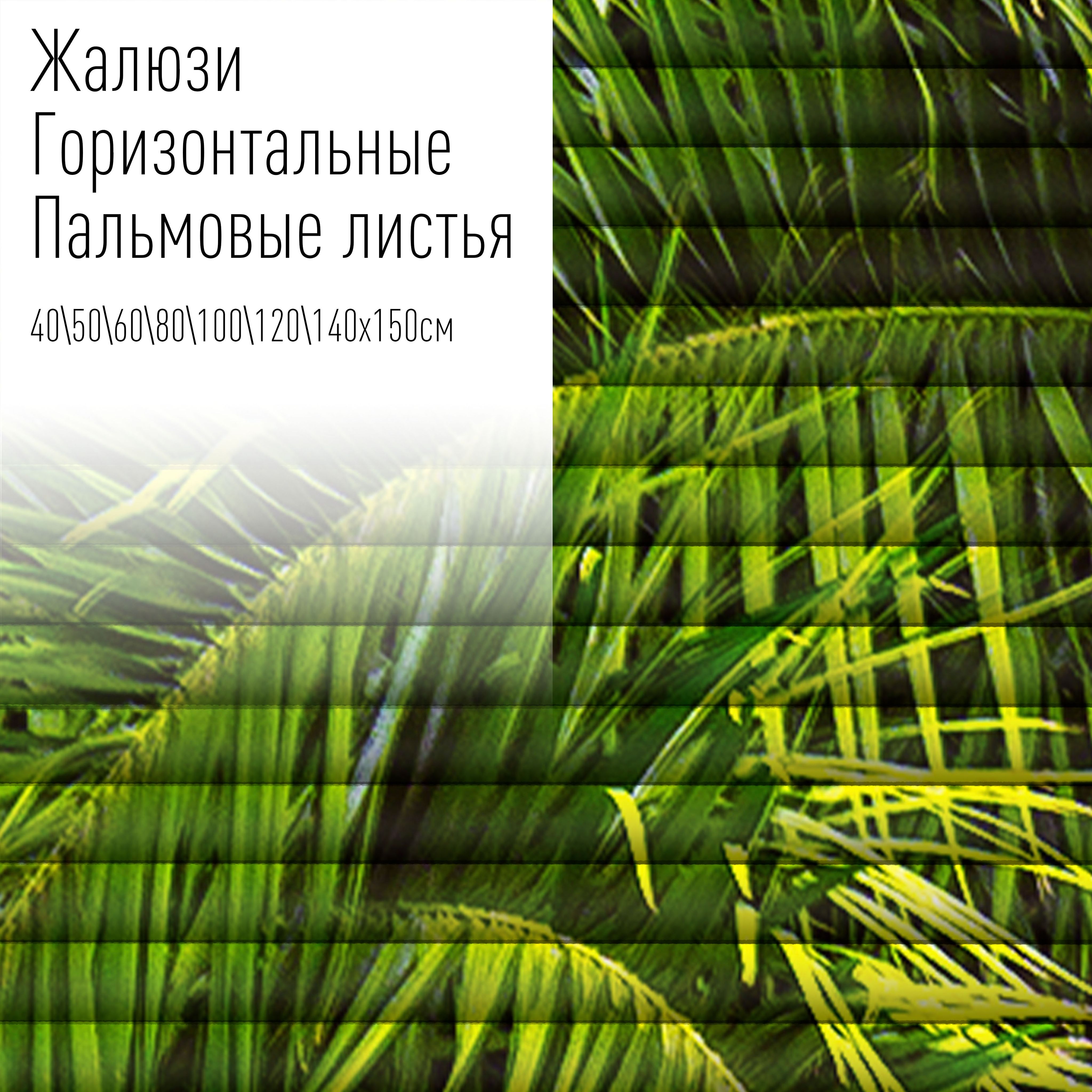 

Жалюзи горизонтальные алюминиевые с фотопечатью, 60x150 см, AzarovaPro, Пальмовые листья, Зеленый