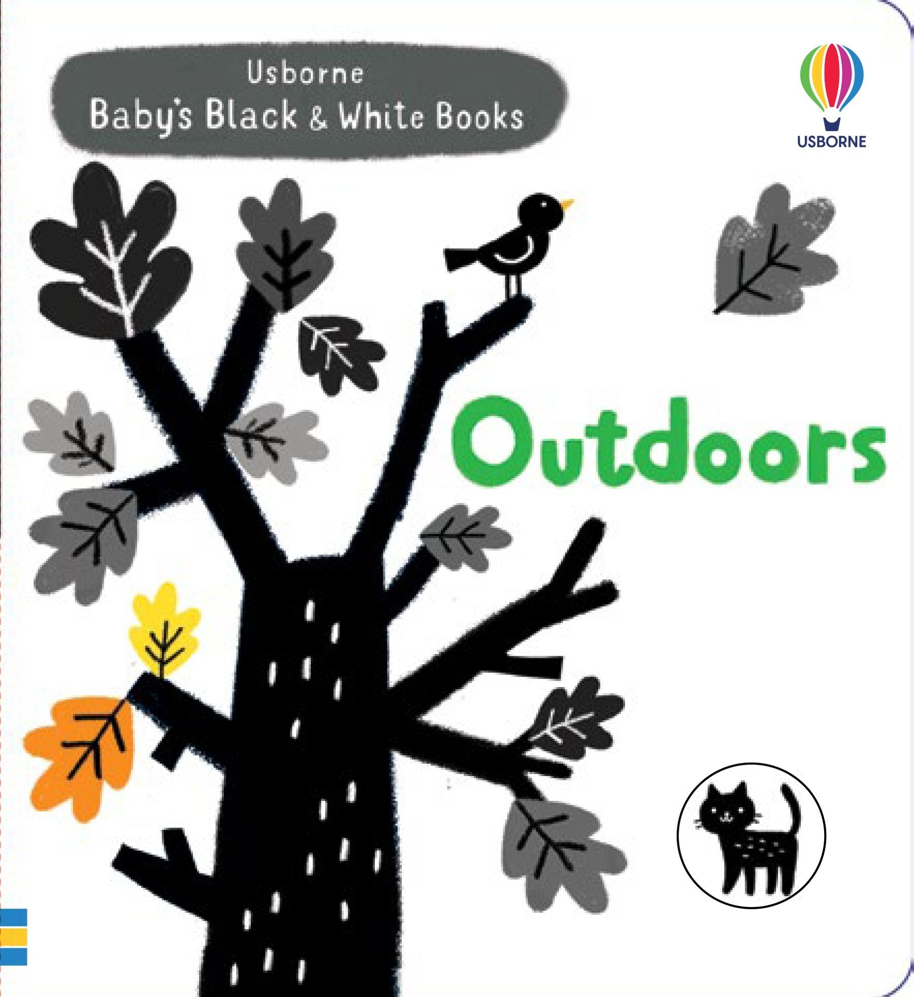 

Outdoors