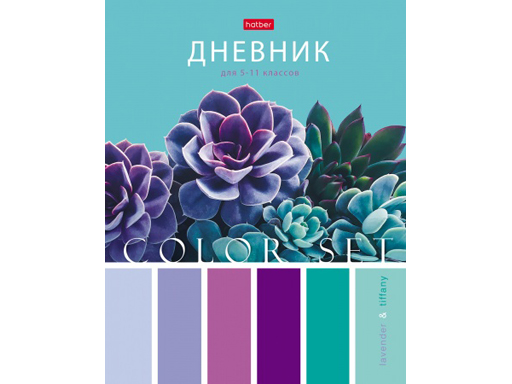 

Дневник для 5-11кл. 48л А5ф Hatber "Color Set"