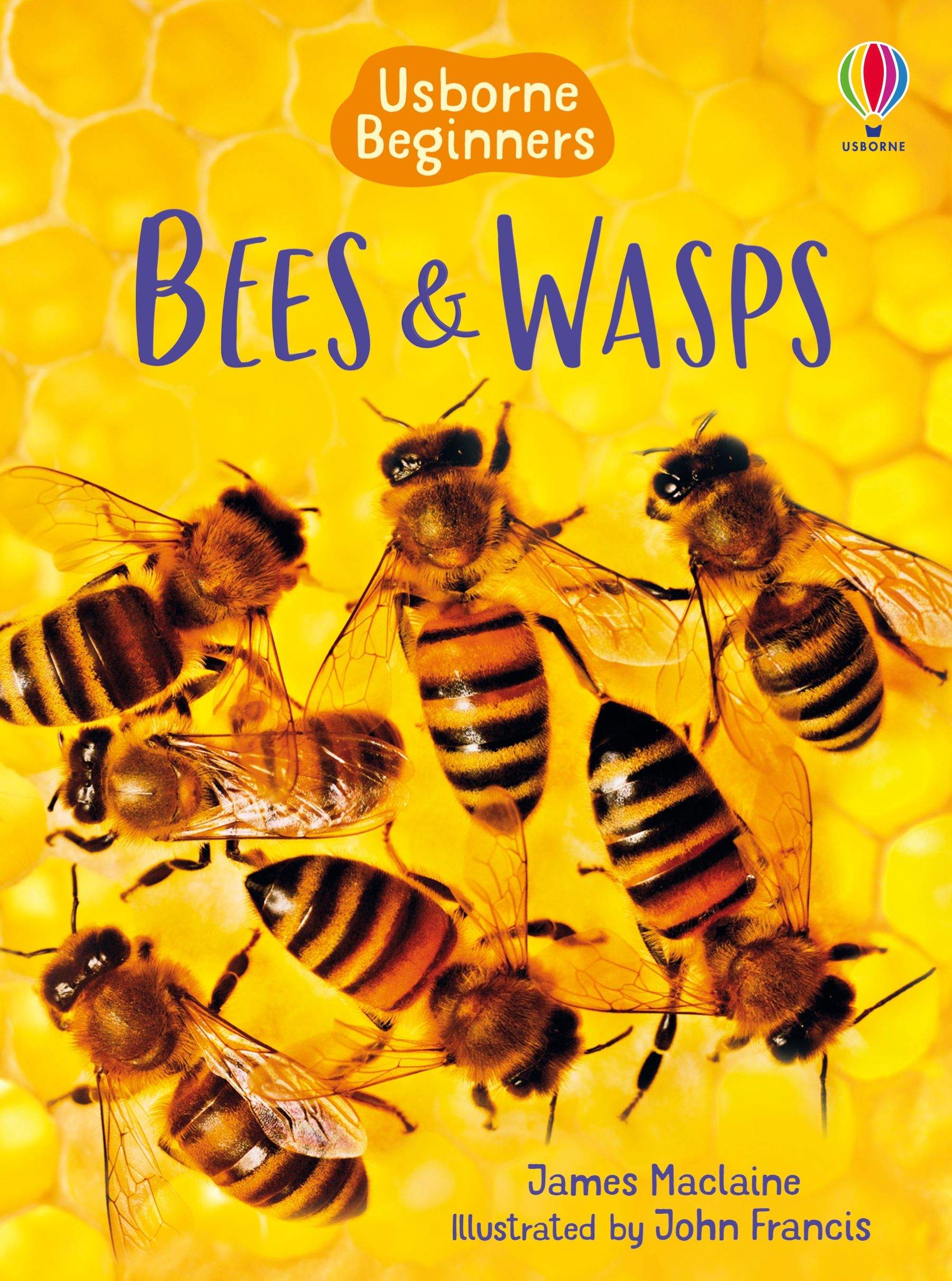 

Bees and Wasps