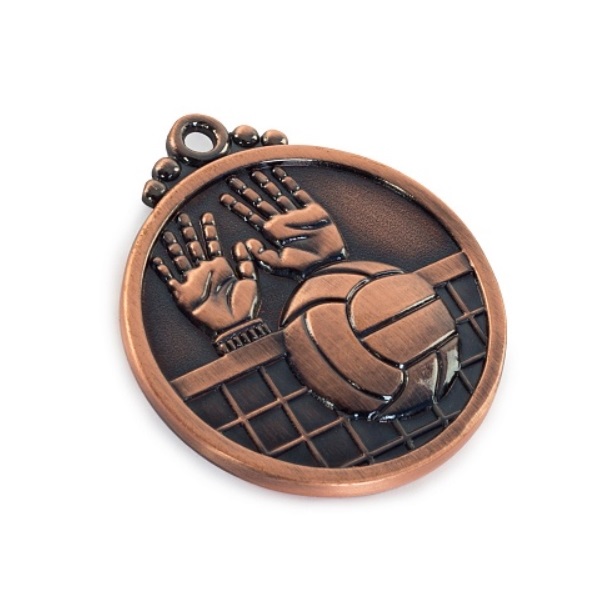 

Медаль ChangYun 1989 коричневый, 1989