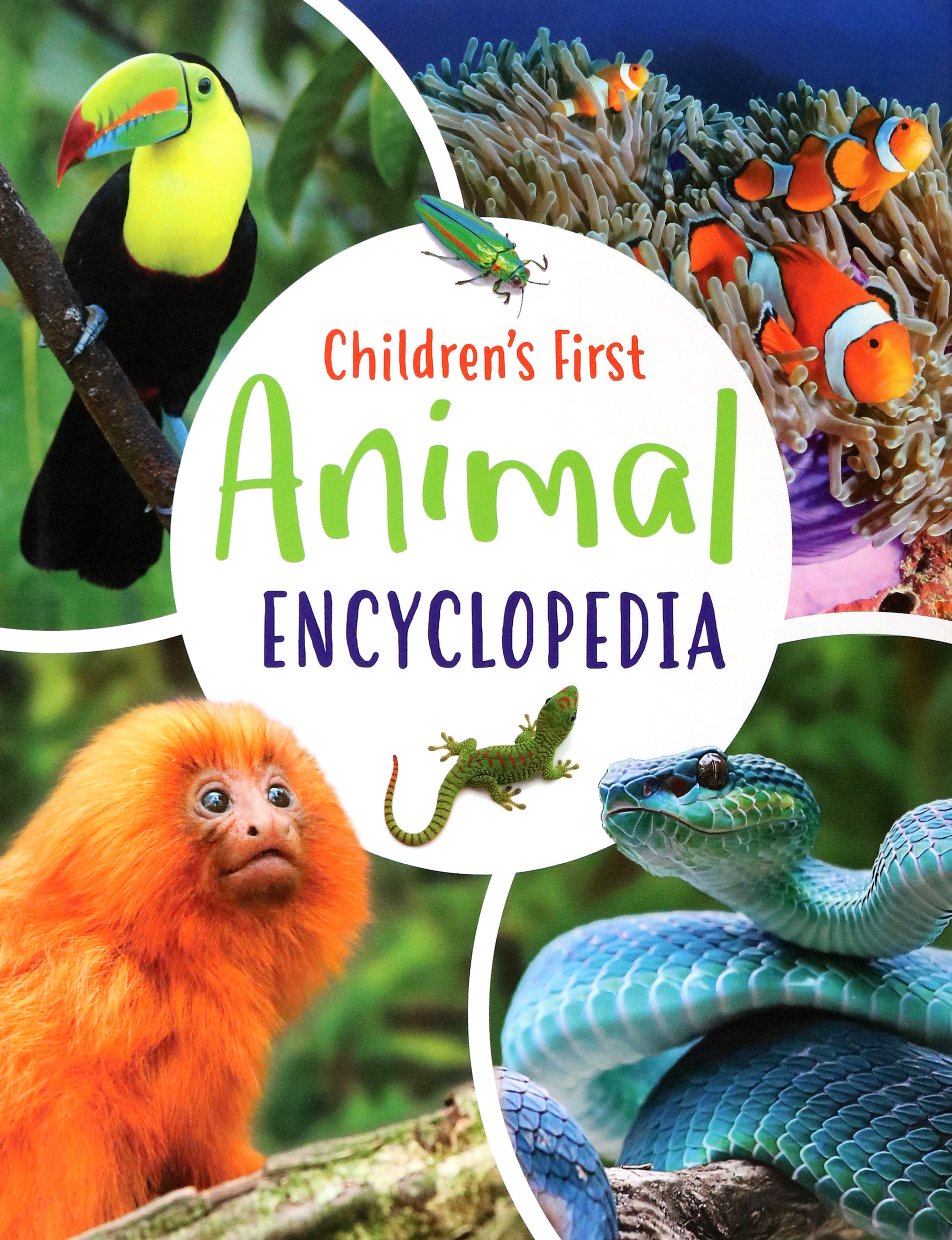 

Children's First Animal Encyclopedia