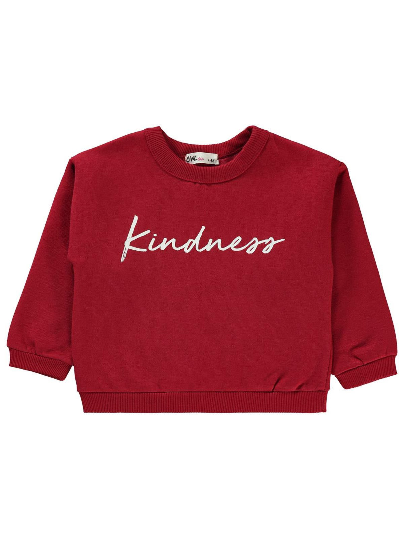 

Свитшот Civil Girls 19D250306K11 красный 4-5 лет (доставка из-за рубежа), 19D250306K11