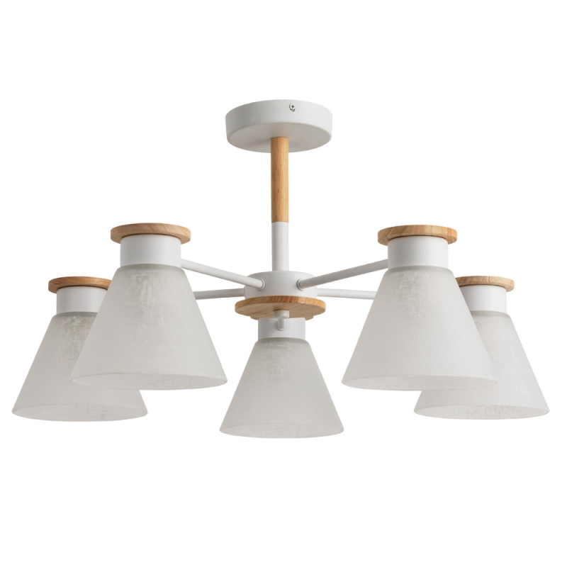 

Люстра на штанге Arte Lamp Tyler A1031PL-5WH, TYLER