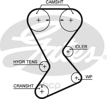 

Ремень ГРМ Gates T246