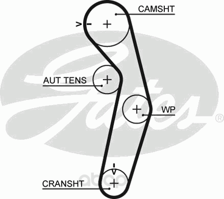 

Ремень ГРМ Gates 5441XS