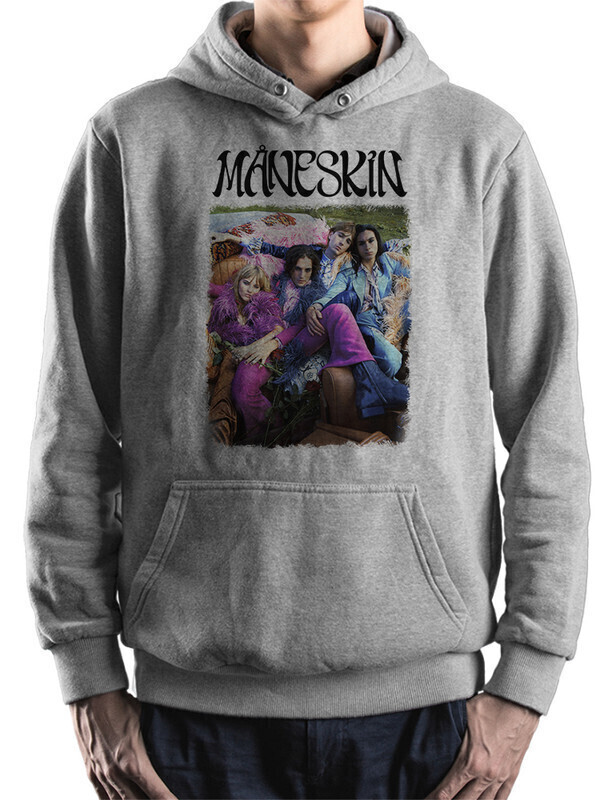 

Худи мужское Dream Shirts Группа Maneskin серое 50 RU, Группа Maneskin