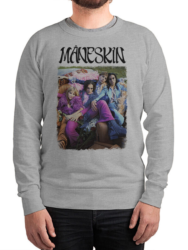 

Свитшот мужской Dream Shirts Группа Maneskin серый 54 RU, Группа Maneskin