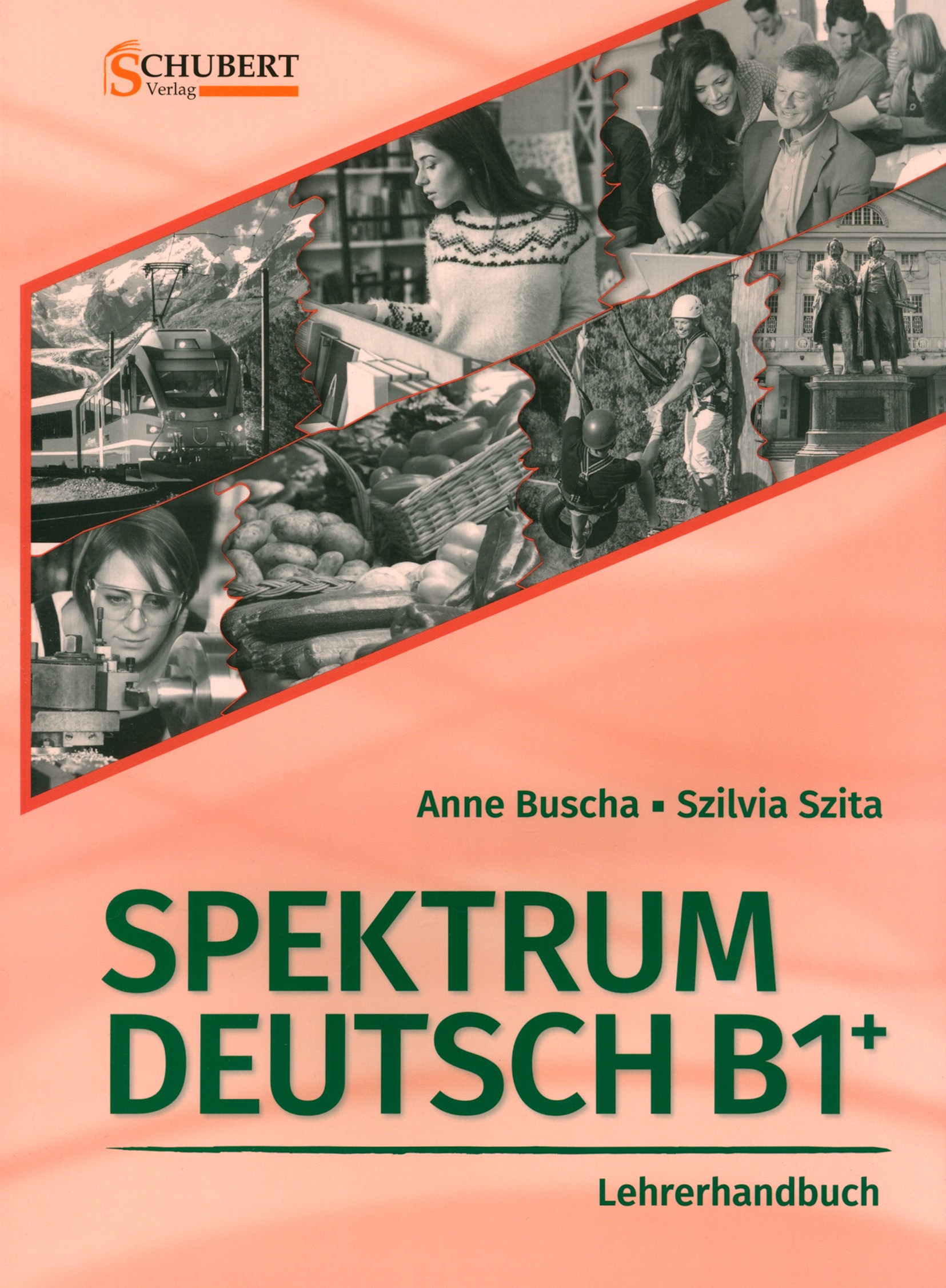 

Spektrum Deutsch B1+. Lehrerhandbuch (+CD)