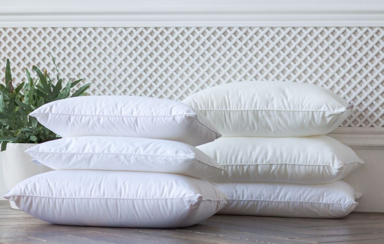 

Подушка детская Prinz and Prinzessin Kinder Pillow Cotton мягкая 50х68, Белый, 107113