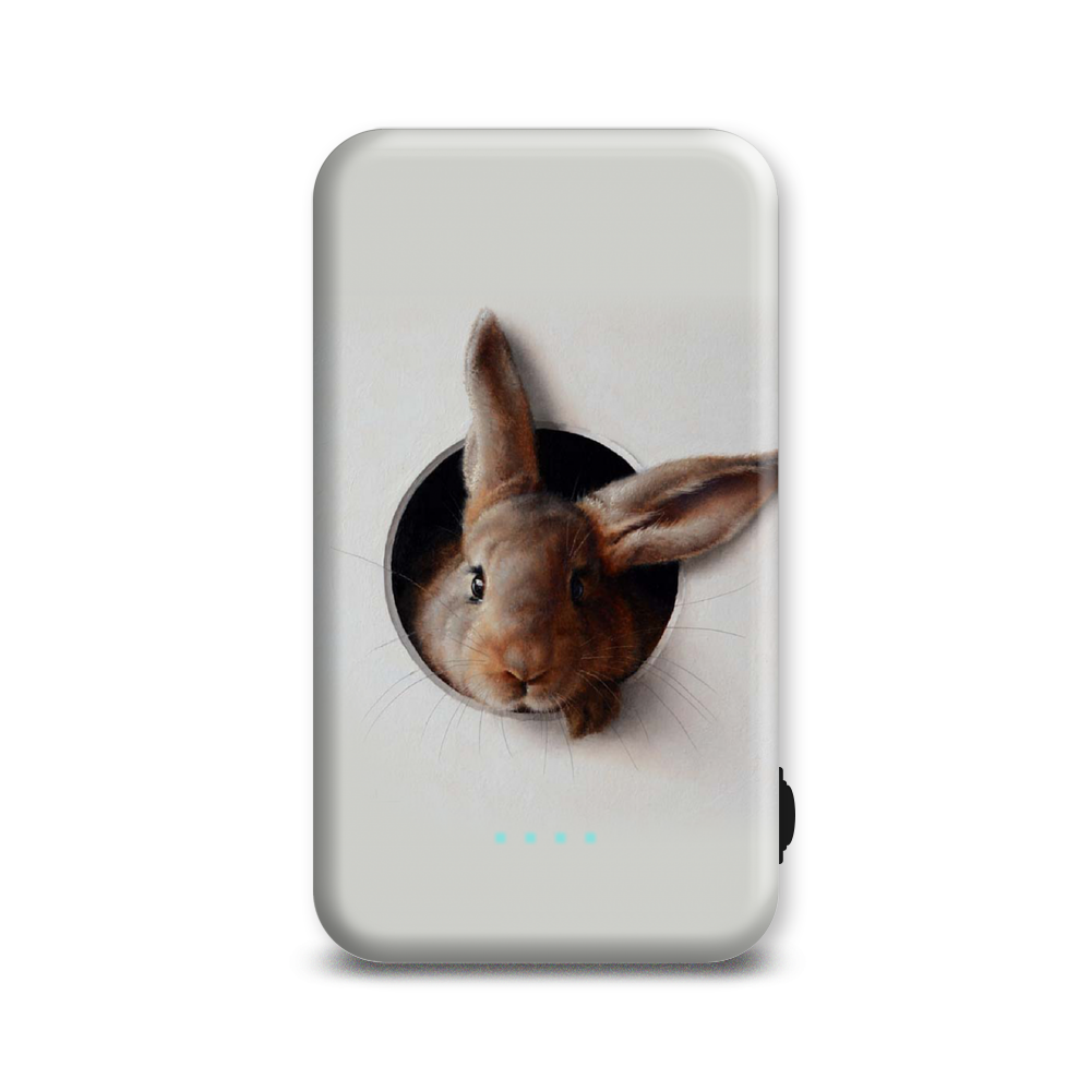 

Внешний аккумулятор Case Place AC05-210-1 5000 мА/ч серый, коричневый (AC052109R10386), AC05-210-1