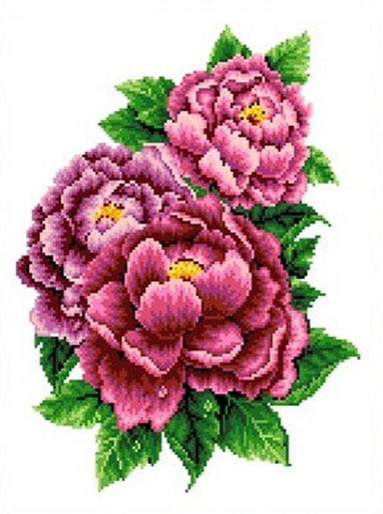 

Рисунок на ткани Каролинка Розовые пионы КК 025
