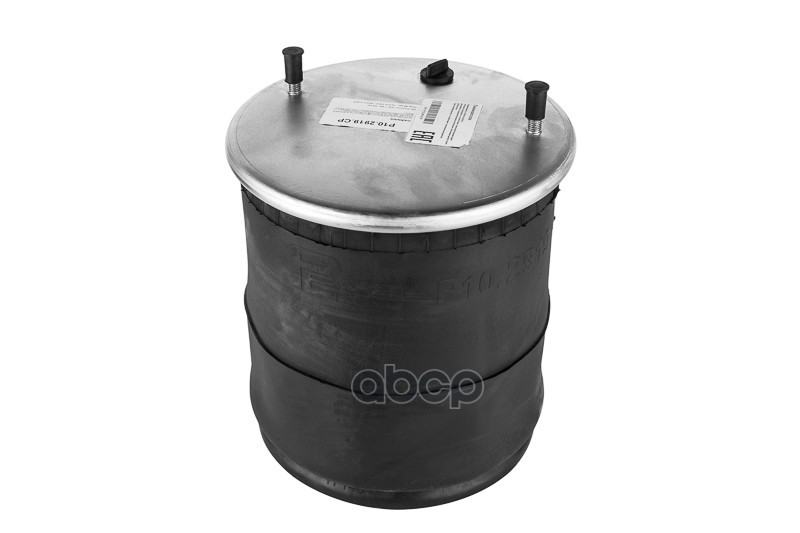 

Пневморессора Hcv P10.2919.Cp Nsii0015538881 PEGA арт. P102919CP