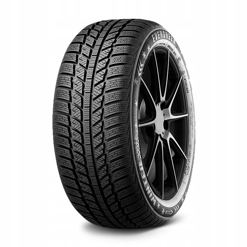 Шины Evergreen Winter EW62 205/60 R16 96H