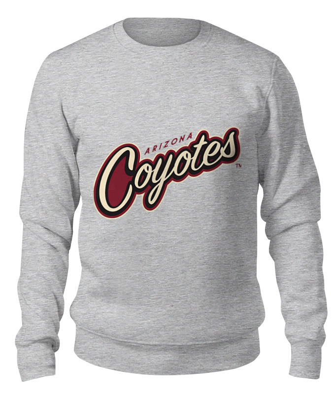 

Свитшот унисекс Printio Arizona coyotes серый L, Arizona coyotes