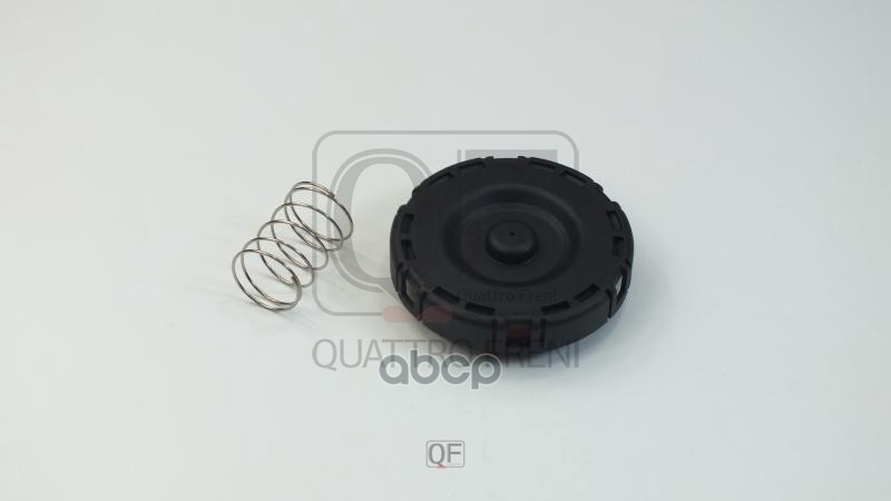 

Ремкомплект Клапана Клапанной Крышки QUATTRO FRENI qf72a00124