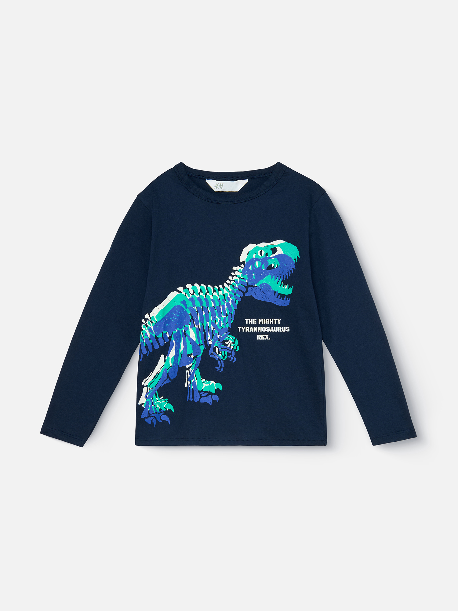 

Лонгслив для мальчика H&M 933397002 синий 110/116, 933397002