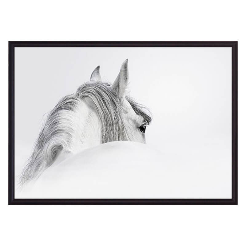 

Постер в рамке Белая лошадь 1 40х60 см