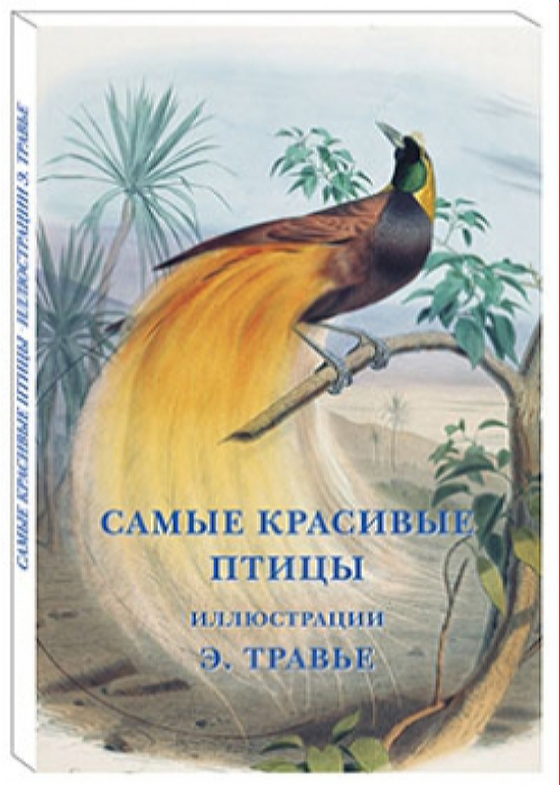 

Набор открыток Белый город Самые красивые птицы. Иллюстрации Э. Травье, 20527108007