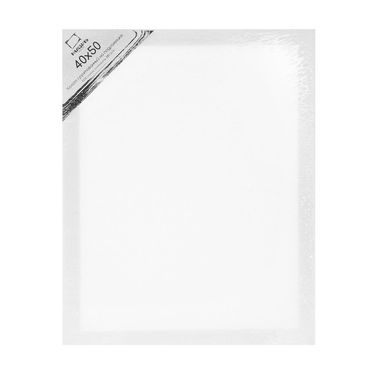 

Холст грунтованный на подрамнике Малевичъ, хлопок, 40x50 см Малевичъ 234050