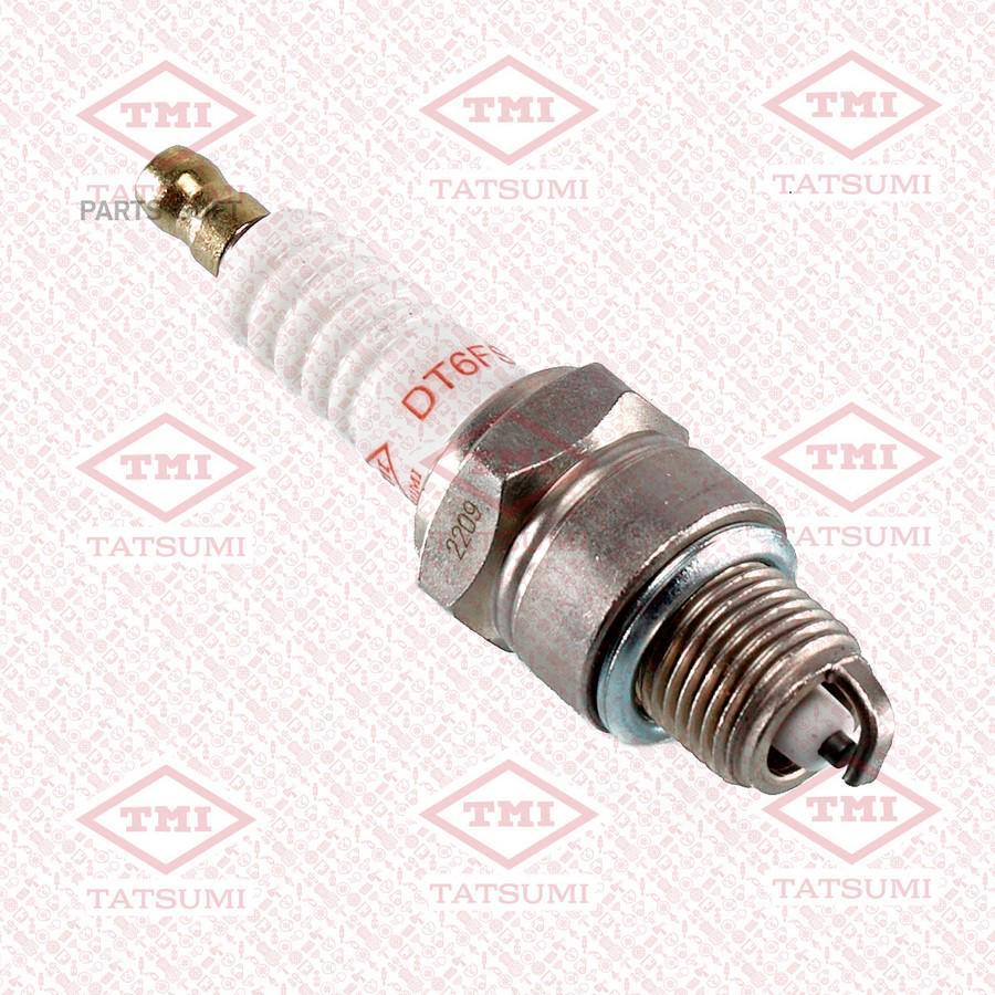 

Свеча зажигания (STANDARD DT6FS) VOLGA/SEAT/SKODA/CITROEN/RENAULT 4шт