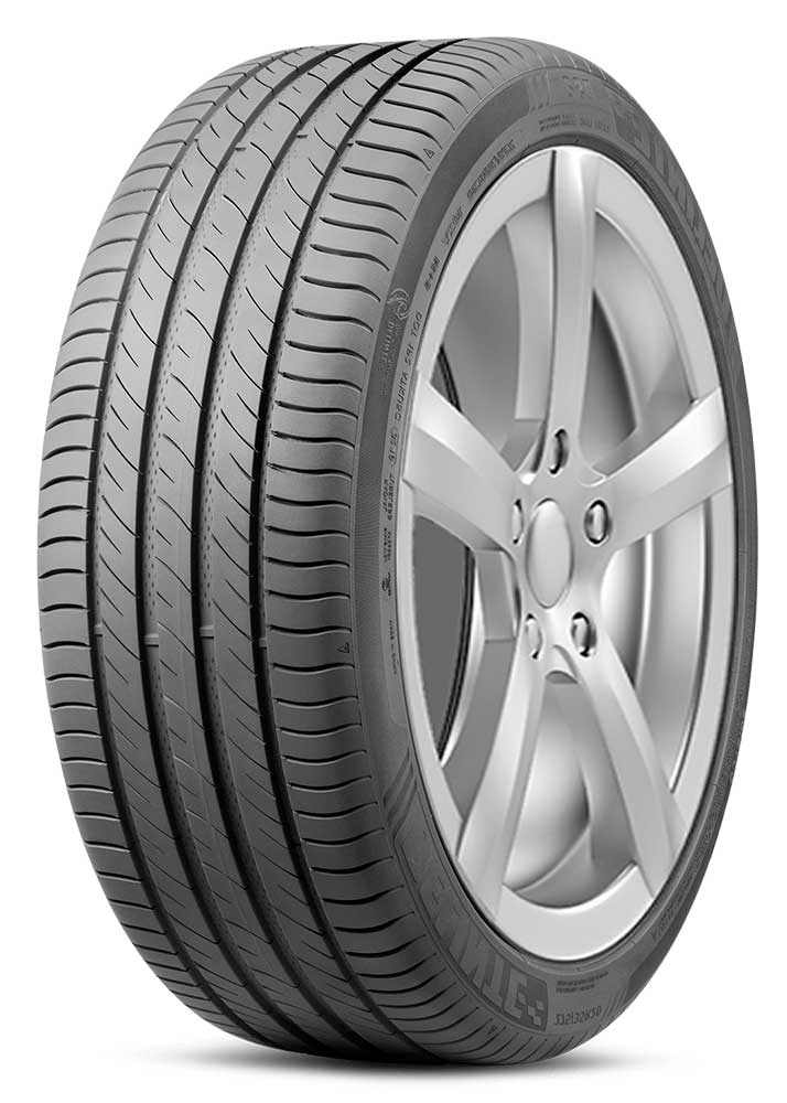 

Шина Delinte DS2 245/50 R18 100W, DS2