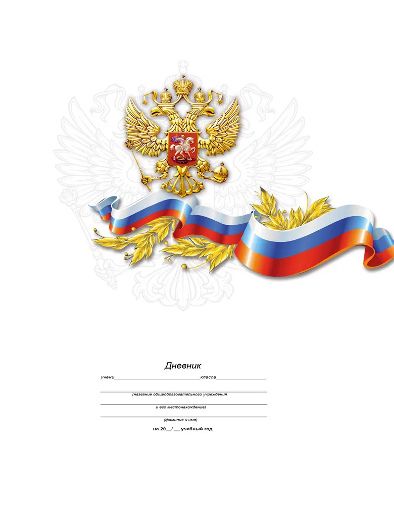 

Дневник для старших классов ProfPress 48 л/Д48-0300, Д48-0300