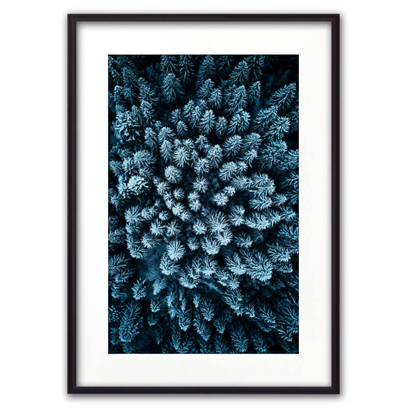 

Постер в рамке Голубой лес с высоты 30х40 см