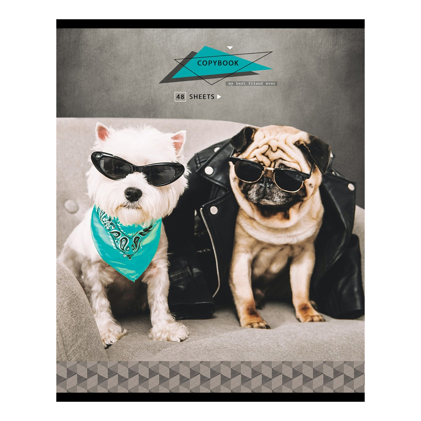 

Тетрадь общая в клетку ArtSpace Питомцы Pug, 48 л., 1 шт.