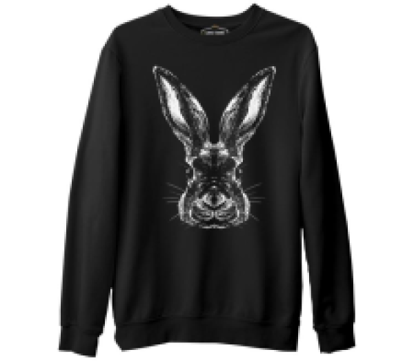 

Свитшот мужской Lord Tshirt SK-1797 черный 3XL (доставка из-за рубежа), SK-1797
