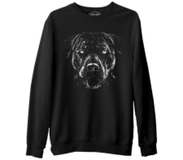 

Свитшот мужской Lord Tshirt SK-1798 черный 2XL (доставка из-за рубежа), SK-1798