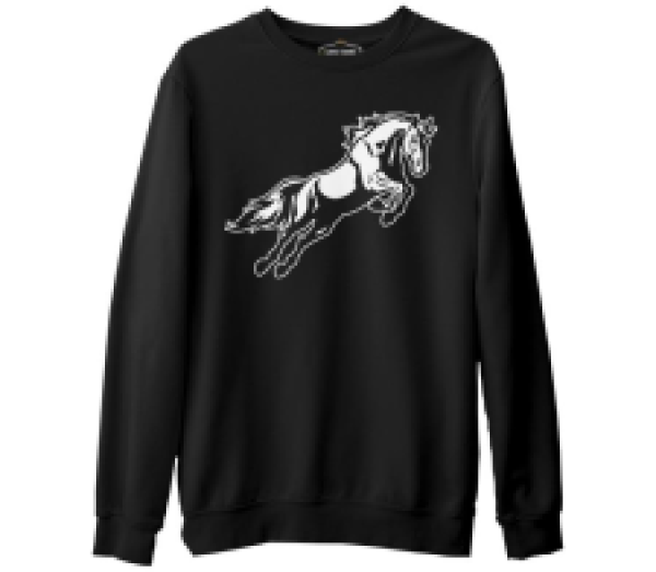 

Свитшот мужской Lord Tshirt SK-1805 черный L (доставка из-за рубежа), SK-1805