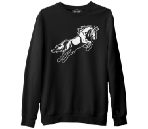 

Свитшот мужской Lord Tshirt SK-1805 черный 2XL (доставка из-за рубежа), SK-1805