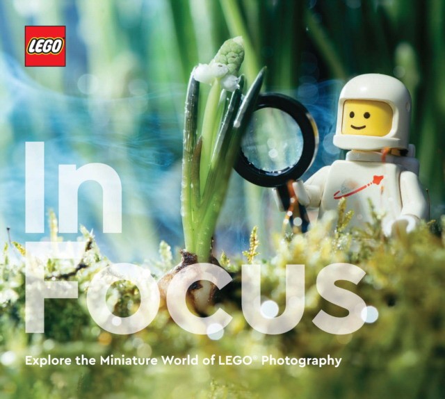 

Lego in focus