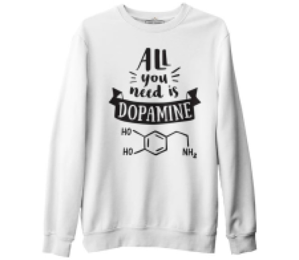 

Свитшот мужской Lord Tshirt BK-1309 белый L (доставка из-за рубежа), BK-1309