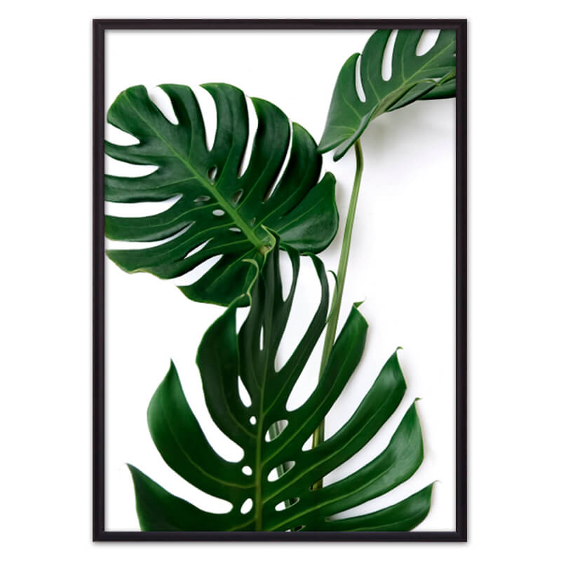 

Постер в рамке Зеленая монстера 30х40 см