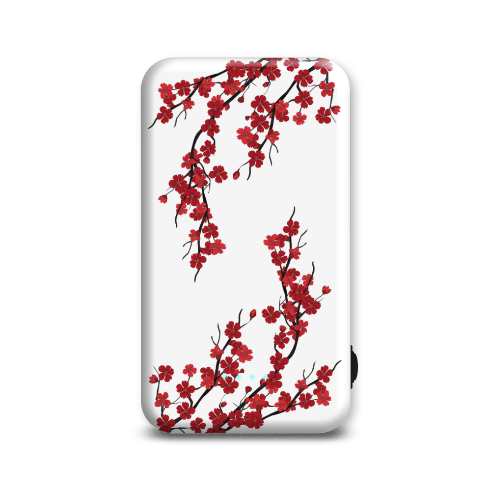 

Внешний аккумулятор Case Place AC05-210-2 5000 мА/ч красный, черный (AC052109V101281), AC05-210-2