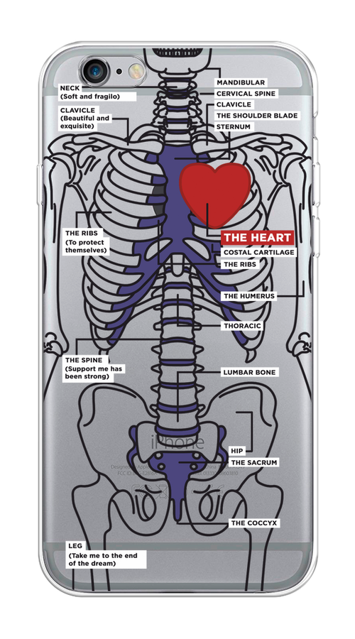 

Чехол на Apple iPhone 6/6S "Скелет человека", Прозрачный;синий;красный, 10450-1
