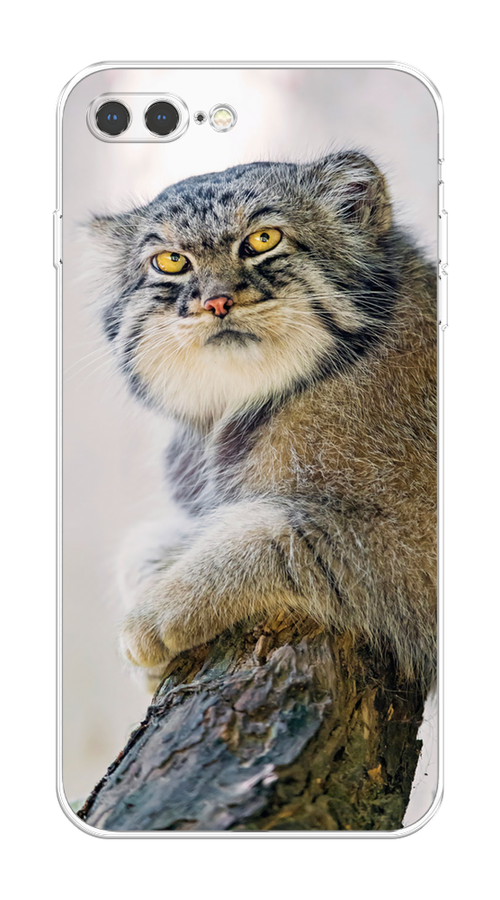 

Чехол на Apple iPhone 7 Plus/8 Plus "Кот манул 1", Серый;белый;желтый, 10750-1